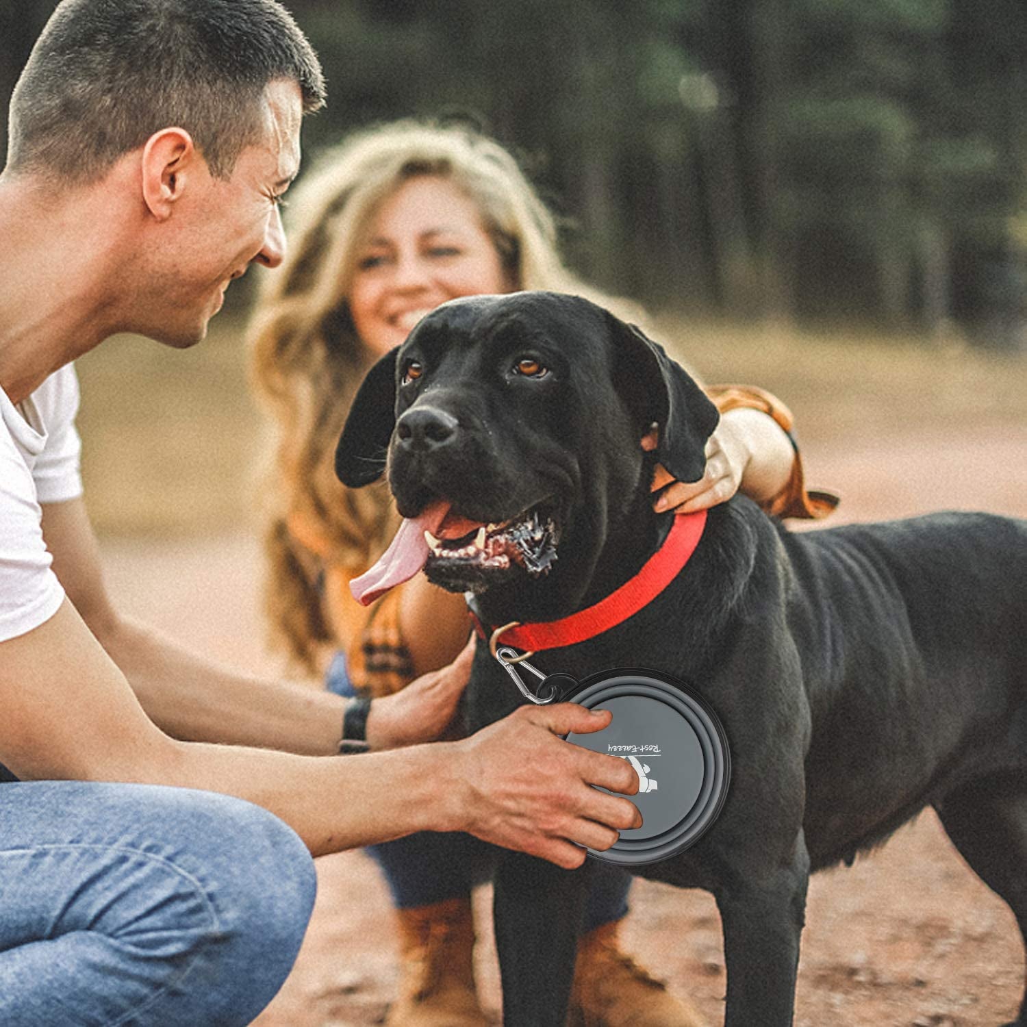 🐾 Collapsible Travel Pet Bowls (2-Pack) – Portable Food & Water Bowls for Dogs & Cats