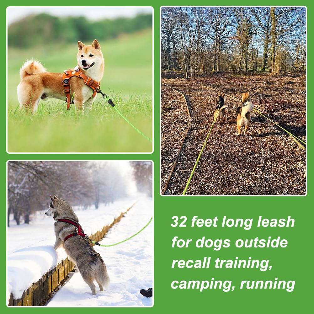 Premium 32Ft Floating Dog Training Leash - Perfect for Swimming, Hiking, and Outdoor Adventures - Reflective Green Rope with Soft Handle