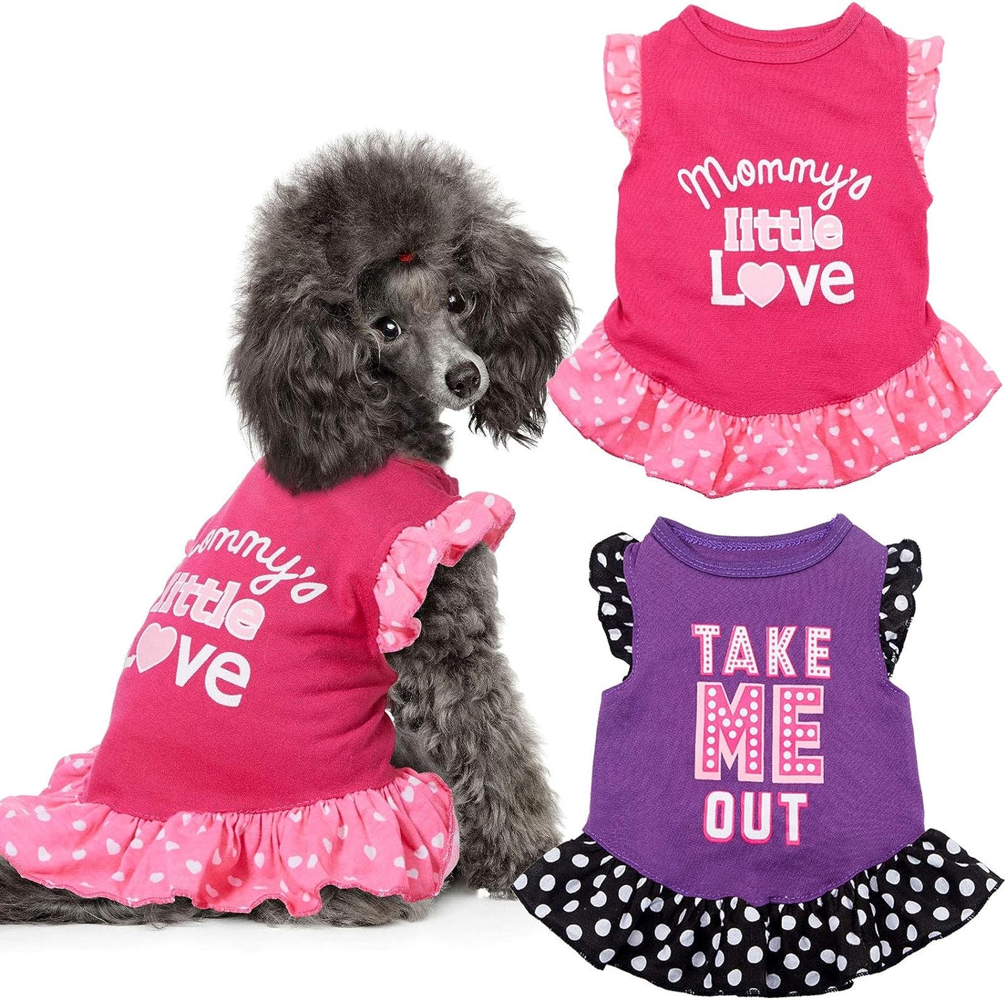 Adorable 2-Piece Dog Dress Set for Small Pets - Cute Summer Apparel for Your Little Princess!