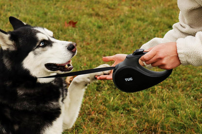 Experience Ultimate Control with Our Premium 16ft Retractable Dog Leash - Perfect for Large Breeds in Stylish Black/Grey