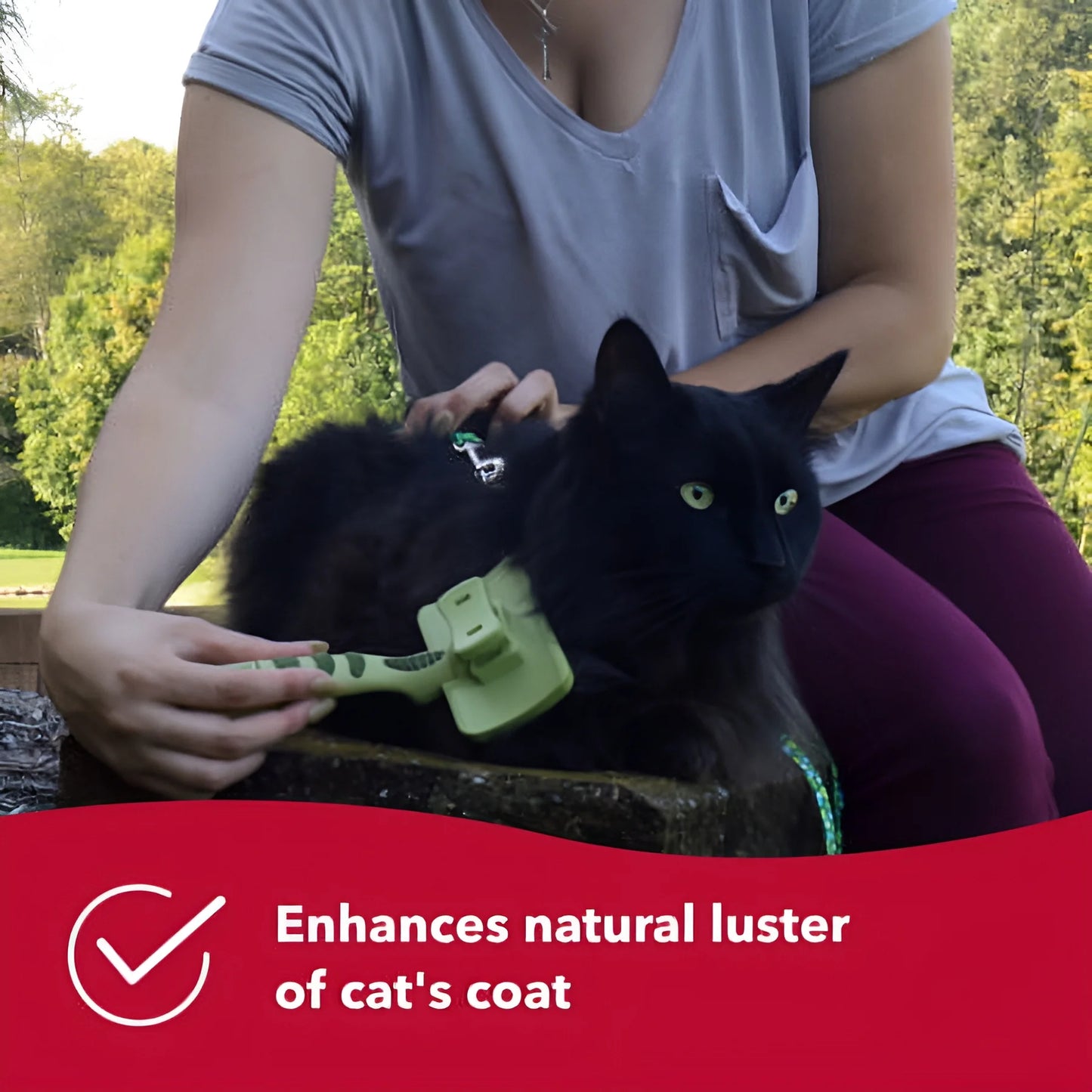 Transform Your Cat's Grooming Routine with the Safari Self-Cleaning Slicker Brush - Easy, Effective, and Essential for All Fur Types!