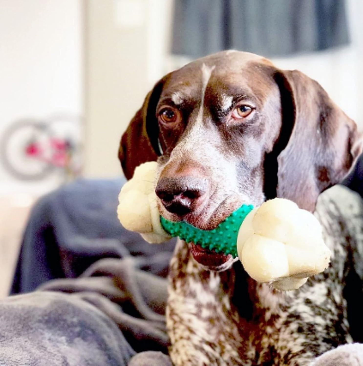 Ultimate Double Action Bacon Flavor Bone Chew Toy for Aggressive Dogs - X-Large (50+ lbs)