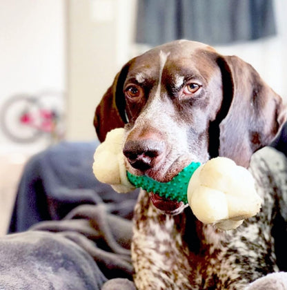Ultimate Double Action Bacon Flavor Bone Chew Toy for Aggressive Dogs - X-Large (50+ lbs)