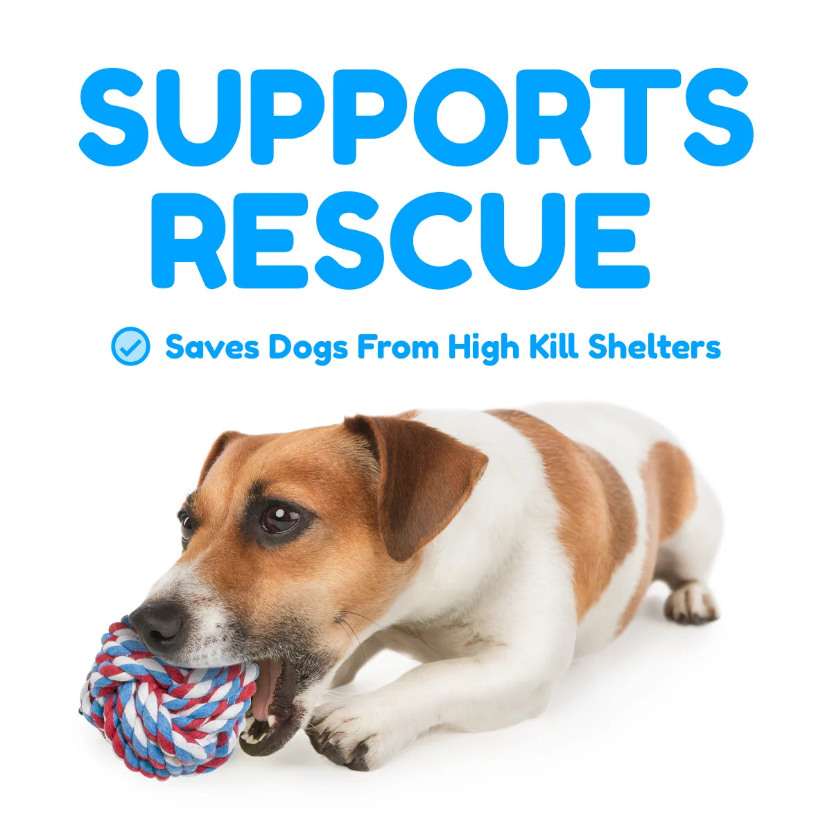 Ultimate 5-Pack Rope Dog Toys for Small to Medium Dogs - Durable Fun for Playtime!