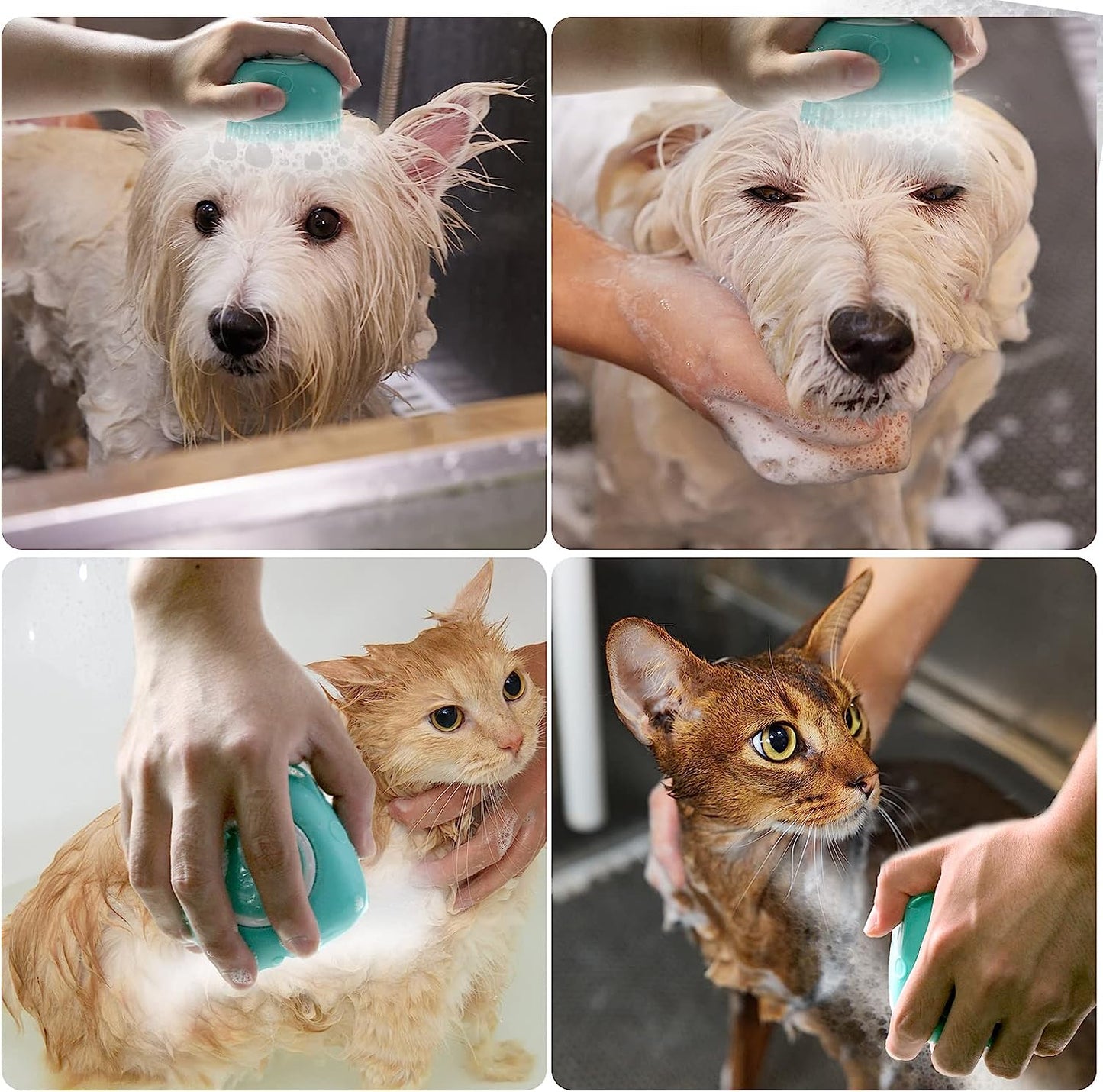 Soft Silicone Pet Bath Brush with Shampoo Dispenser - Perfect for Dogs & Cats - Blue Grooming Scrubber